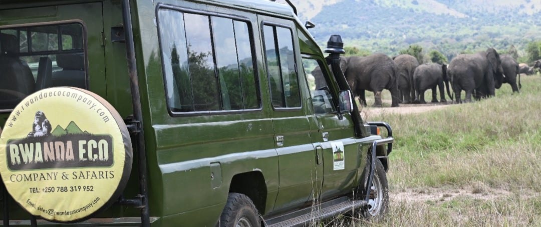 Custom private Rwanda Safaris