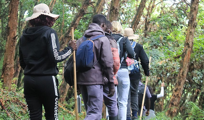 Mgahinga Gorilla National Park, Uganda