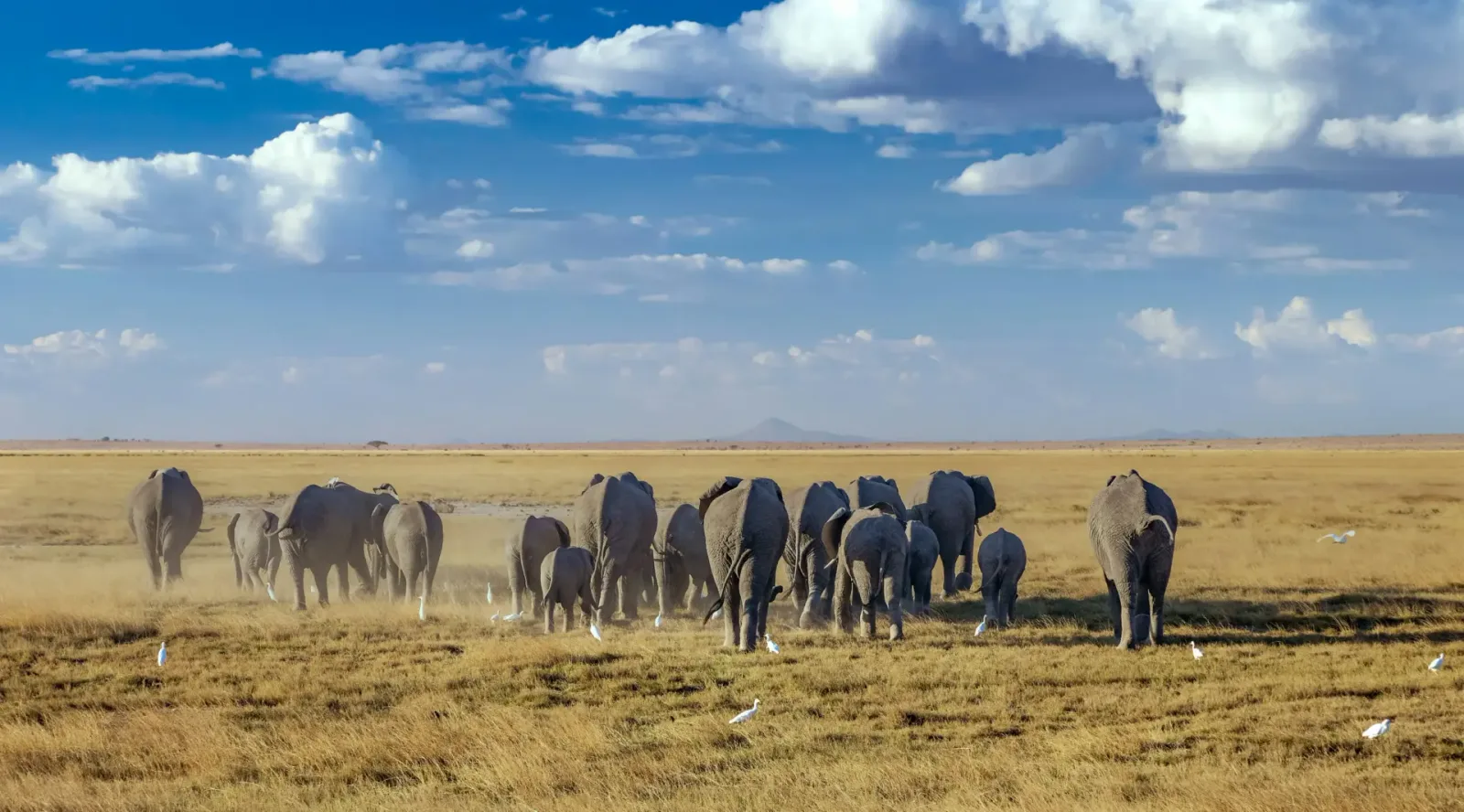 Queen Elizabeth National Park, Uganda