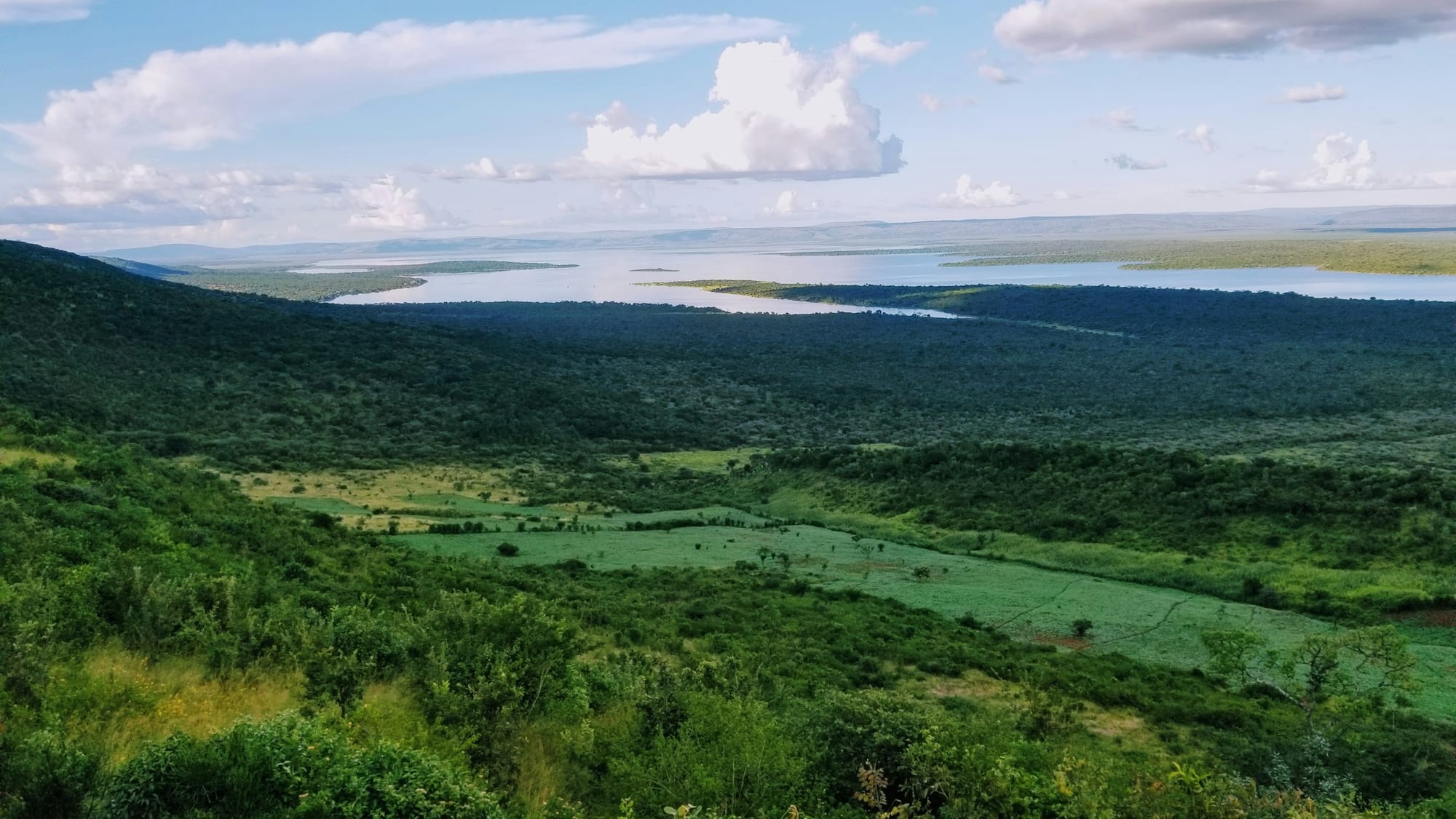 Gorilla Trekking with Family in Rwanda: A Parent's Guide