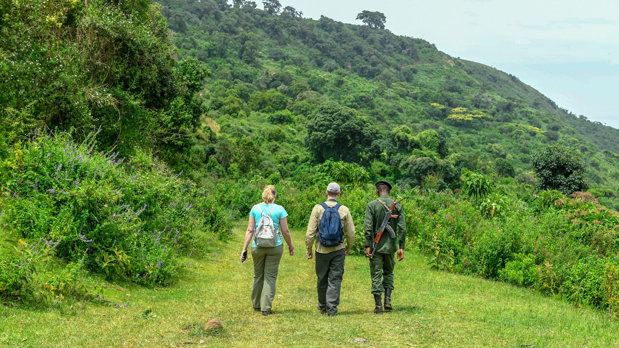 What to Expect on Gorilla Trek Day in Rwanda: Hour by Hour