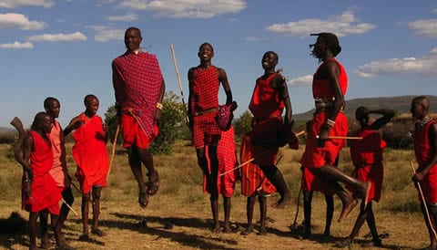 Best Kenya Wildlife Safaris