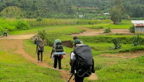 Rwanda Wildlife Safaris