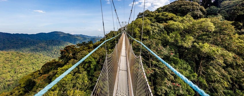 3 days Nyungwe NP with Lake Kivu