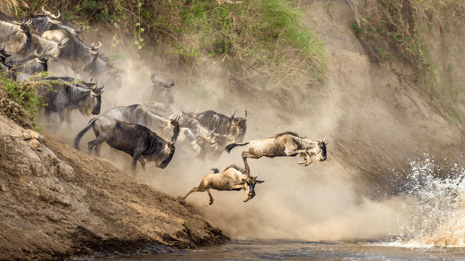 10 Days Kenya and Tanzania Wildebeest Migration