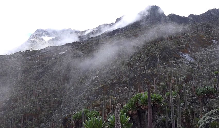 15 Days Mount Rwenzori – Gorilla and Nyiragongo