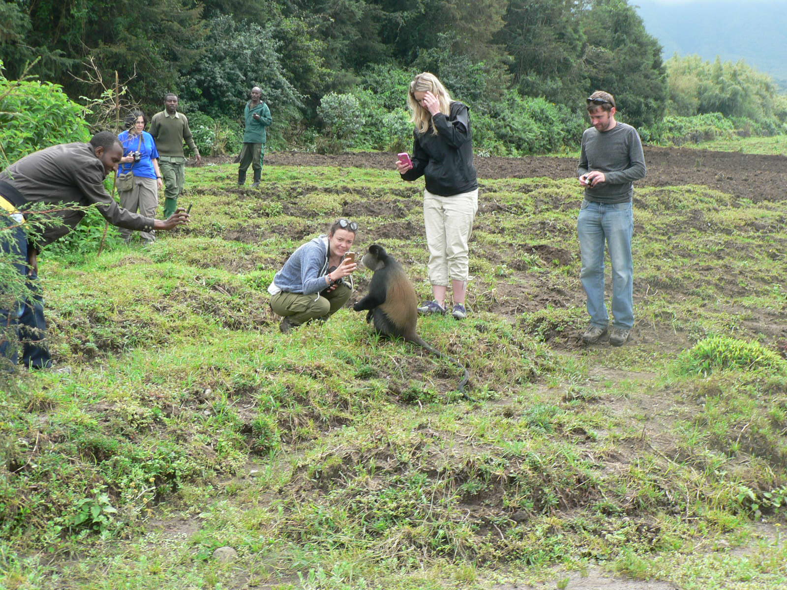 10-Day Rwanda Itinerary: The Complete Safari Experience